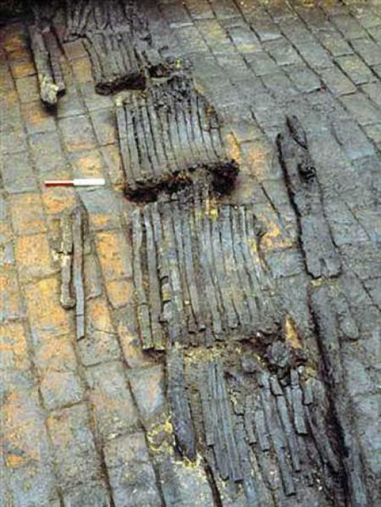   Photo    The barrel staves were lifted, revealing the ash hoops that bound the barrels,  as well as long racks upon which the barrels had been stored.   (c Museum of London)