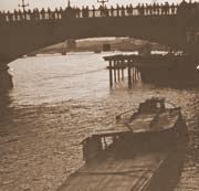 TEX88 photo 12 
