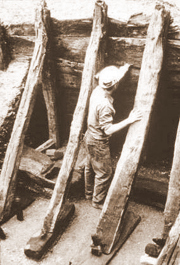 TEX88 photo 4 181
