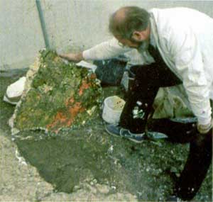Tony McKenna RIP